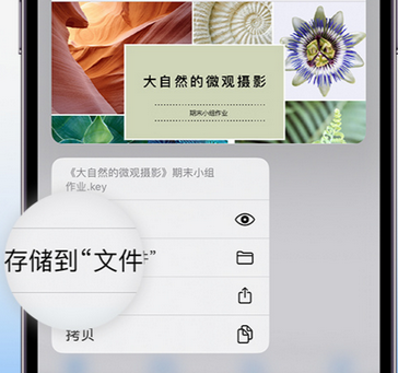 清河门apple维修中心分享iPhone文件应用中存储和找到下载文件