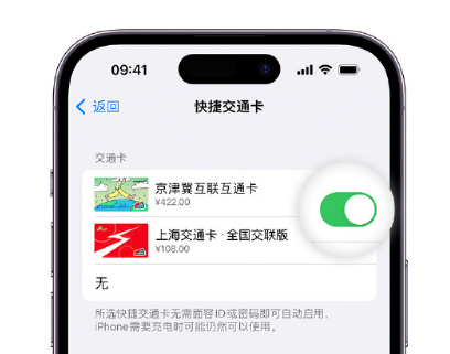 清河门apple维修点分享iPhone上更换Apple Pay快捷交通卡手绘卡面 