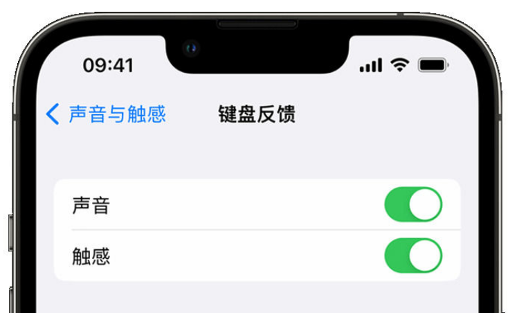 清河门苹果手机维修分享iPhone 14触感键盘使用方法 