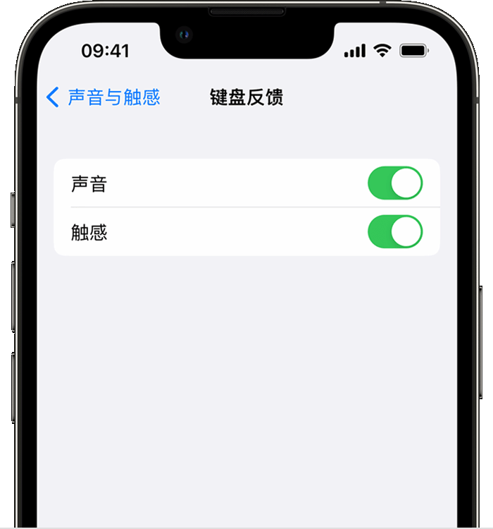 清河门苹果14维修店分享如何在 iPhone 14 机型中使用触感键盘 