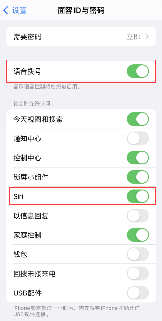 清河门苹果维修网点分享不解锁 iPhone 的情况下通过 Siri 拨打电话的方法 