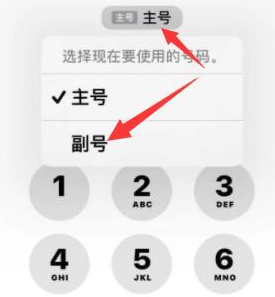 清河门苹果14维修店分享iPhone 14 Pro Max使用副卡打电话的方法 