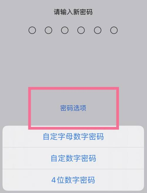 清河门苹果14维修分享iPhone 14plus设置密码的方法 