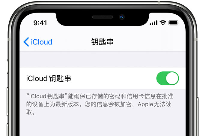 清河门苹果手机维修分享在 iPhone 上开启 iCloud 钥匙串之后会储存哪些信息 