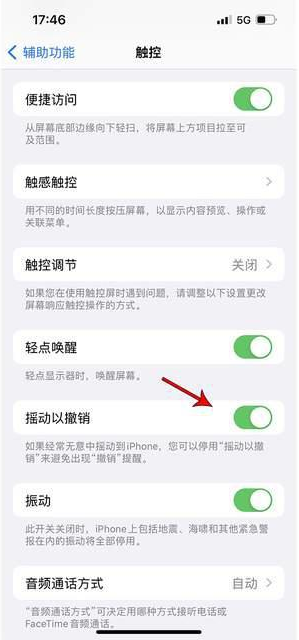 清河门苹果手机维修分享iPhone手机如何设置摇一摇删除文字 